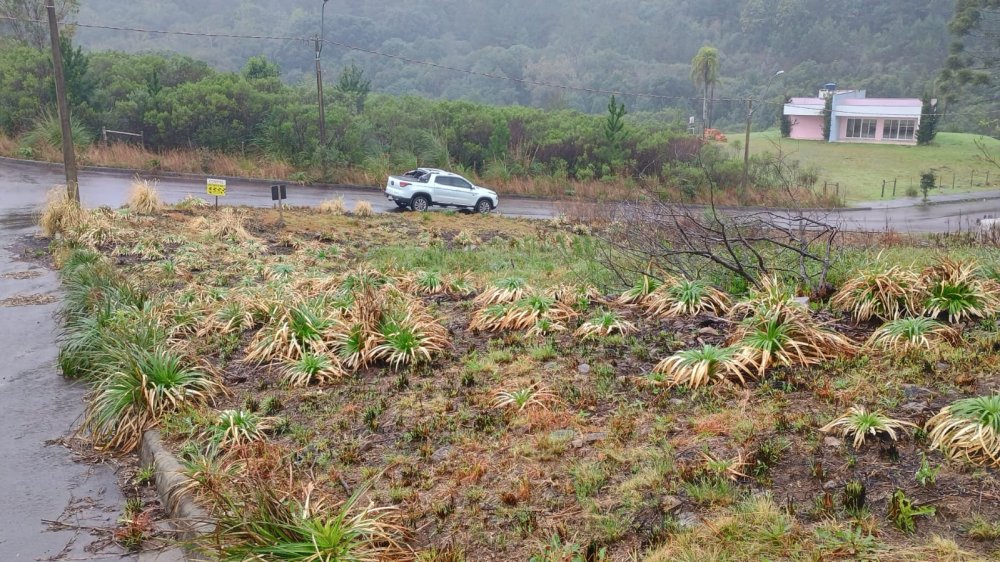 Terreno - Venda - So Gicomo - Caxias do Sul - RS