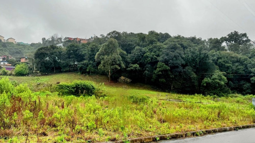 Terreno - Venda - Nossa Senhora das Graas - Caxias do Sul - RS