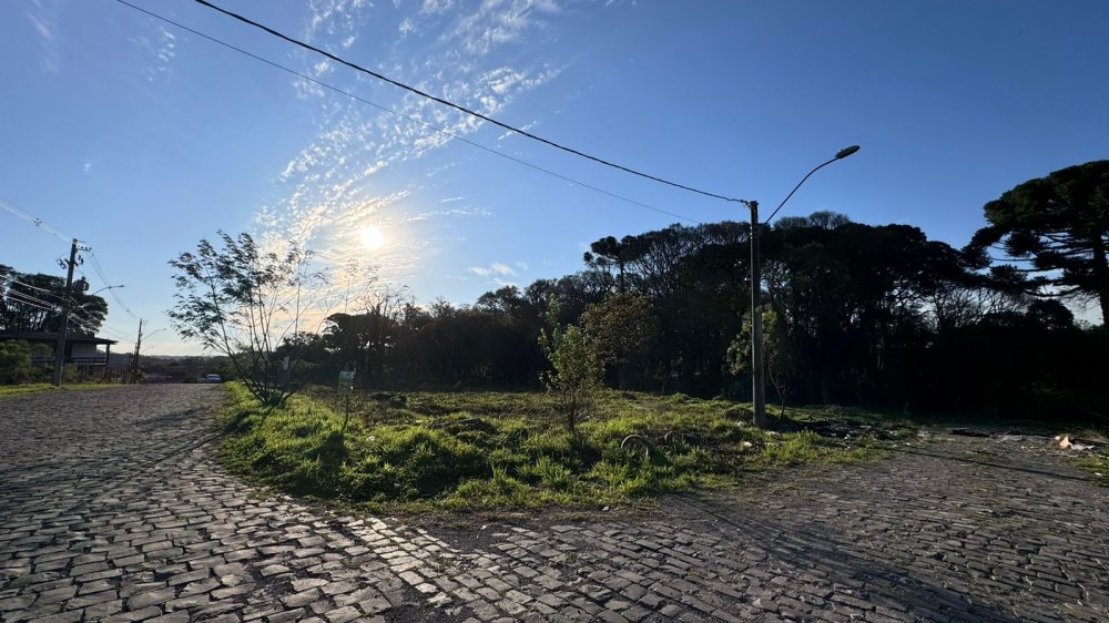 Terreno - Venda - Nossa Senhora das Graas - Caxias do Sul - RS