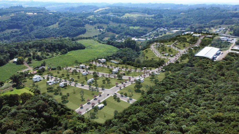 Terreno - Venda - Centro - Flores da Cunha - RS