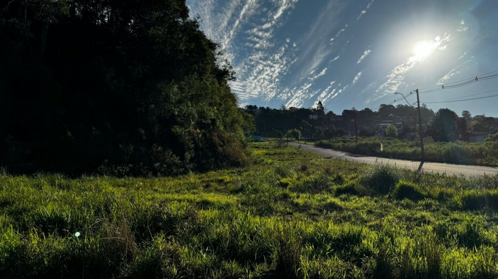 Terreno - Venda - Nossa Senhora das Graas - Caxias do Sul - RS