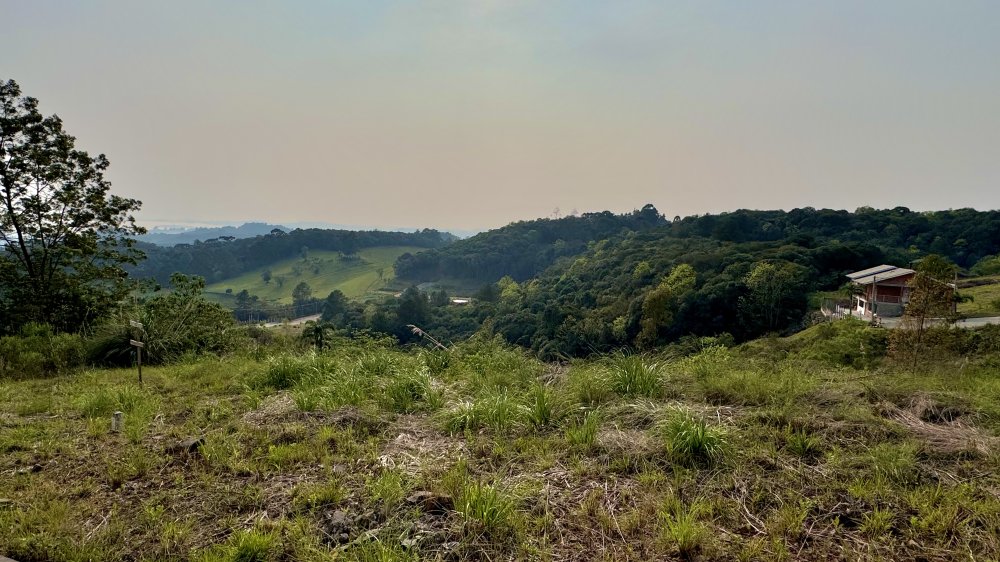 Terreno - Venda - Centro - Flores da Cunha - RS